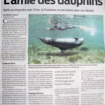 article-sudouest