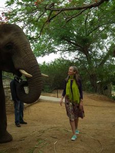 énergie animale, communication avec animaux