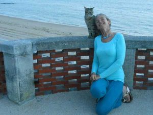 stage communication animaux