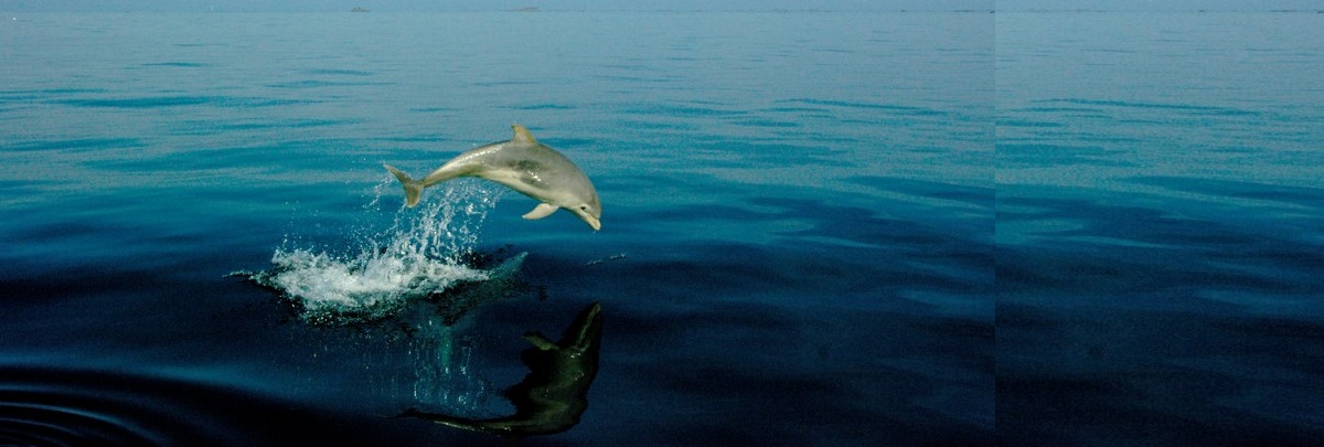 la rencontre dans le soin