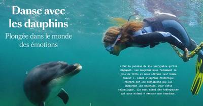 Voyage avec les dauphins et les balines et Santé